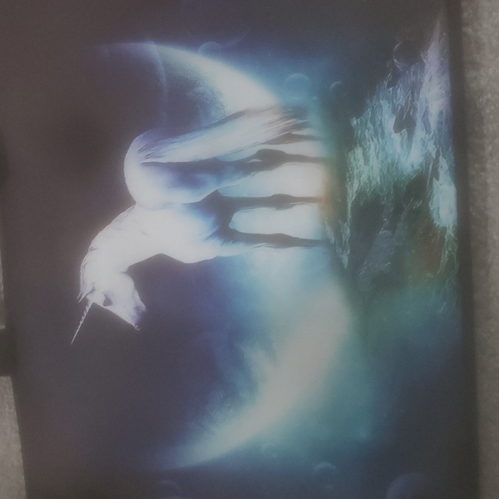 Laptop case - Picture 4 of 4